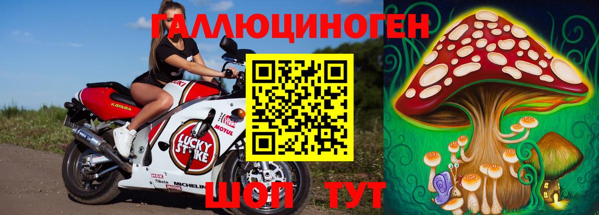 Галлюциногенные грибы MAGIC MUSHROOMS  Галлюциногенные грибы Cubensis  Луга  Вход с VPN 